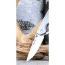 Нож BUCK 0254SSS ODESSA B0254SSS